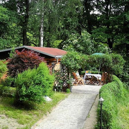 Ferienhaus Am Urzeitpark Sebnitz Hertigswalde Εξωτερικό φωτογραφία
