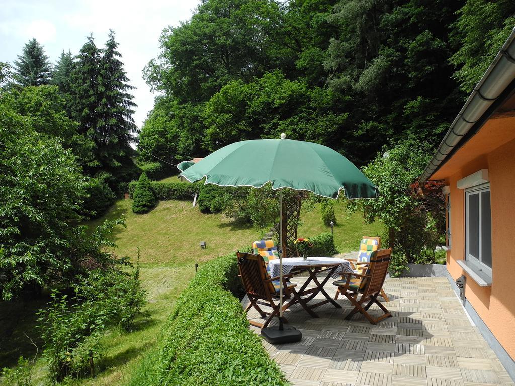 Ferienhaus Am Urzeitpark Sebnitz Hertigswalde Εξωτερικό φωτογραφία