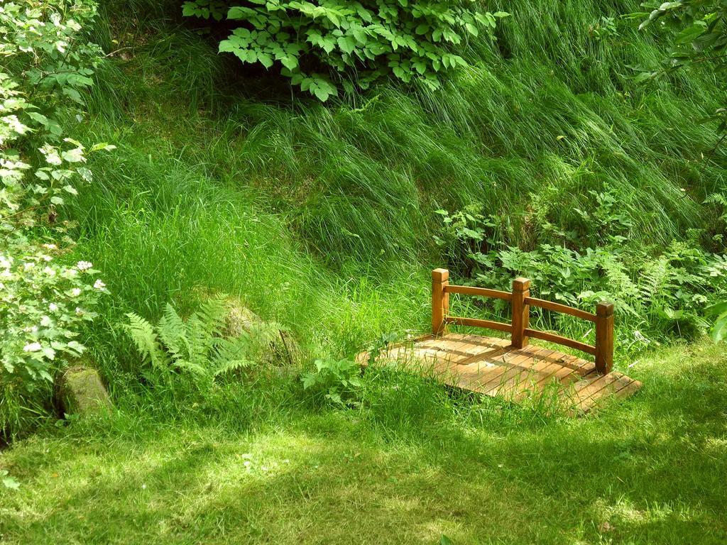 Ferienhaus Am Urzeitpark Sebnitz Hertigswalde Εξωτερικό φωτογραφία